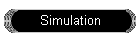 Simulation