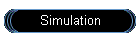 Simulation