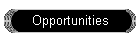 Opportunities